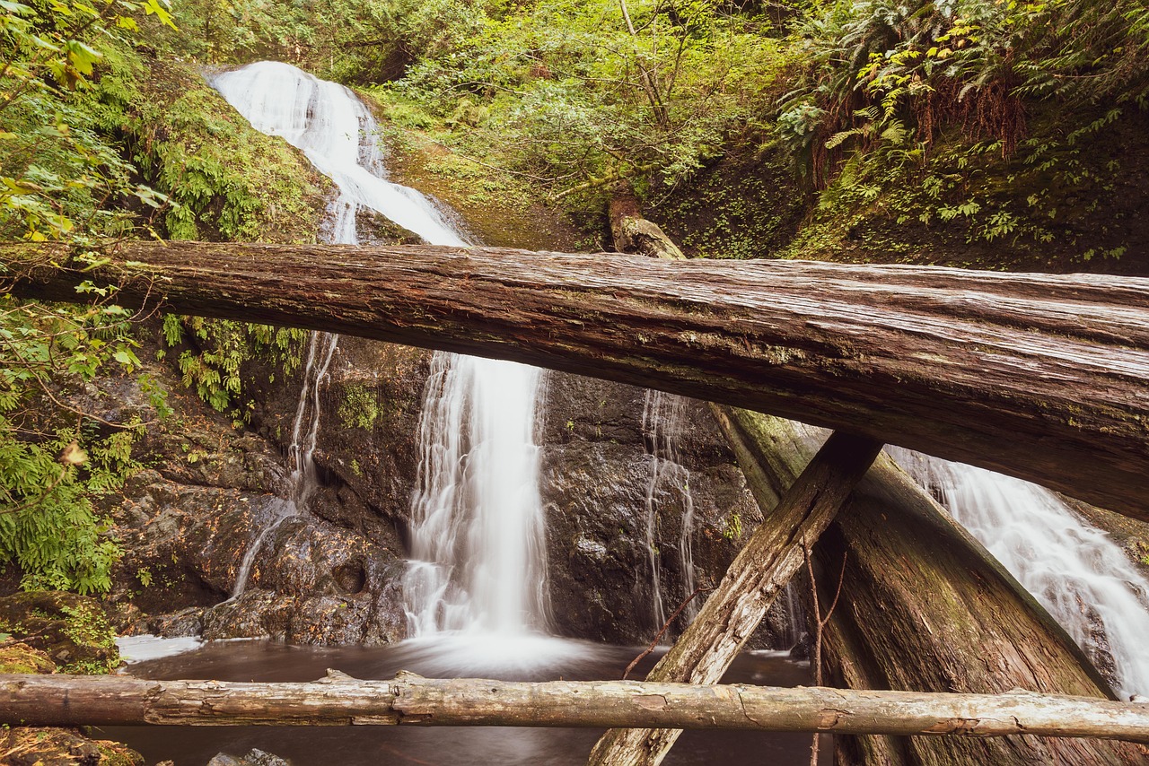 Creek - free online jigsaw puzzle photo
