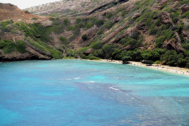 Free Oahu Hawaii photo and picture