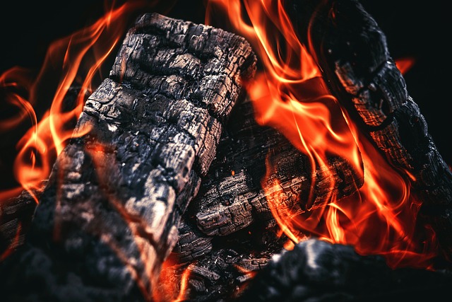 Free Fire Flame photo and picture