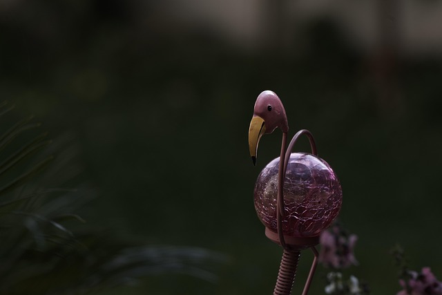 Free Garden Garden Decoration photo and picture