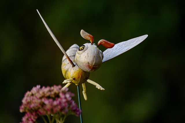Free Garden Garden Decoration photo and picture