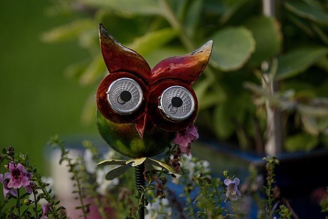 Free Garden Garden Decoration photo and picture