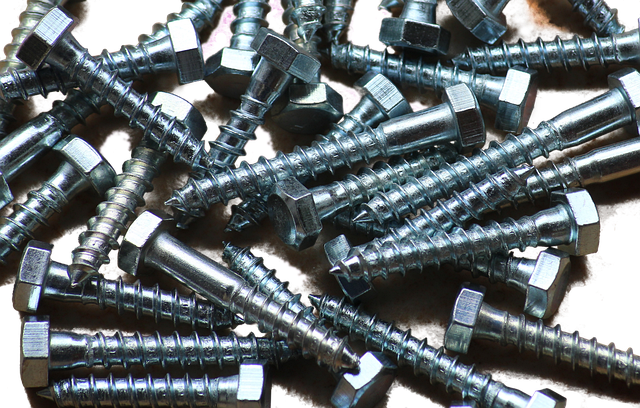 Free Screws Wood Screws photo and picture