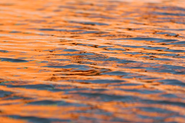 Wasser, Hafen, Reflektionen