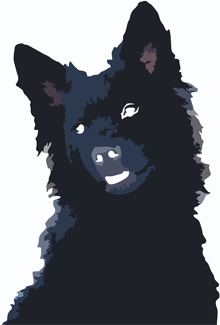 Free Hrvatski Ovcar Croatian Shepherd illustration and picture