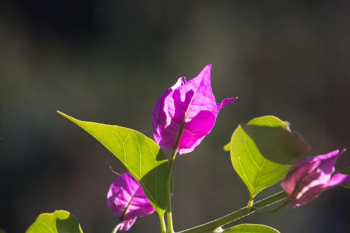 1년 장기 연체 파산 면책 신청 법률 사무소5