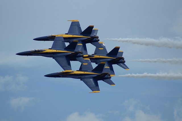 Free Blue Angels Aircraft photo and picture