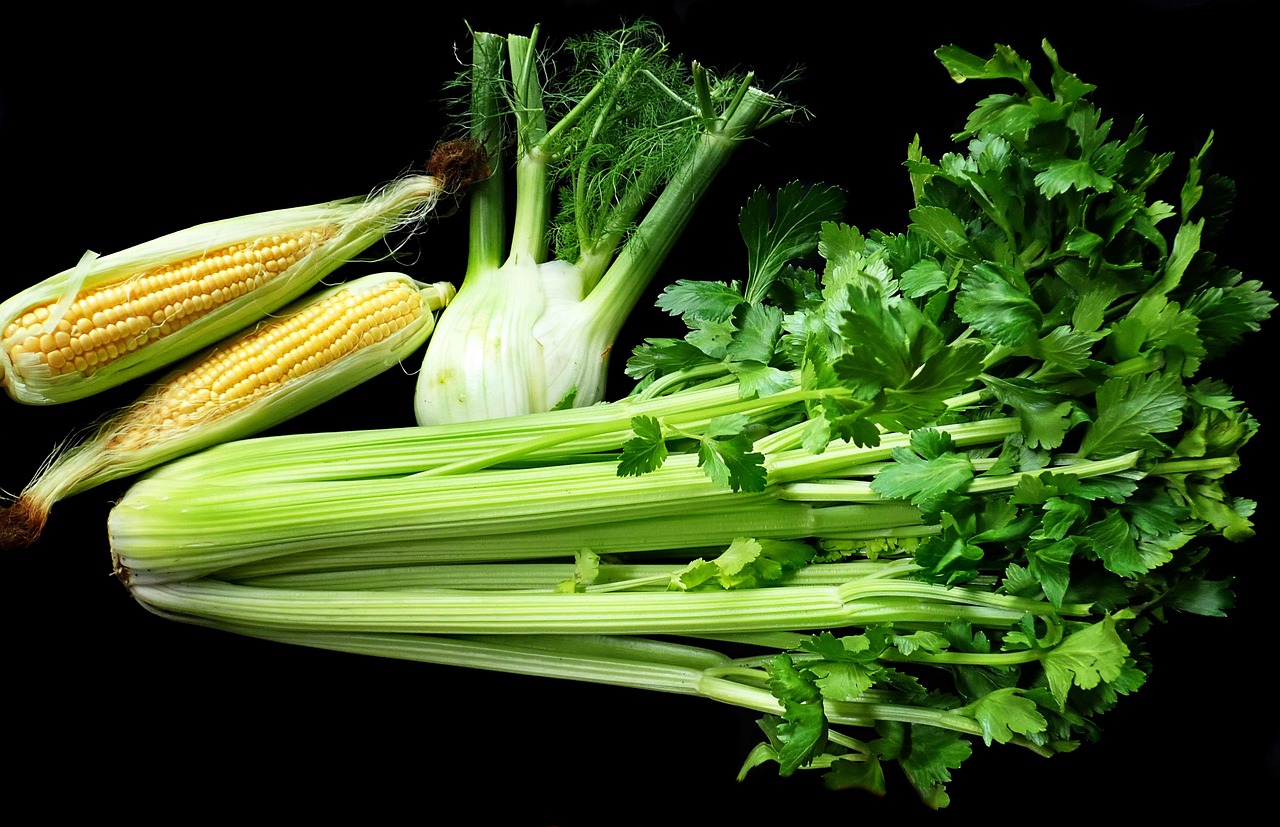 Vegetables Celery Fennel - Free photo on Pixabay - Pixabay