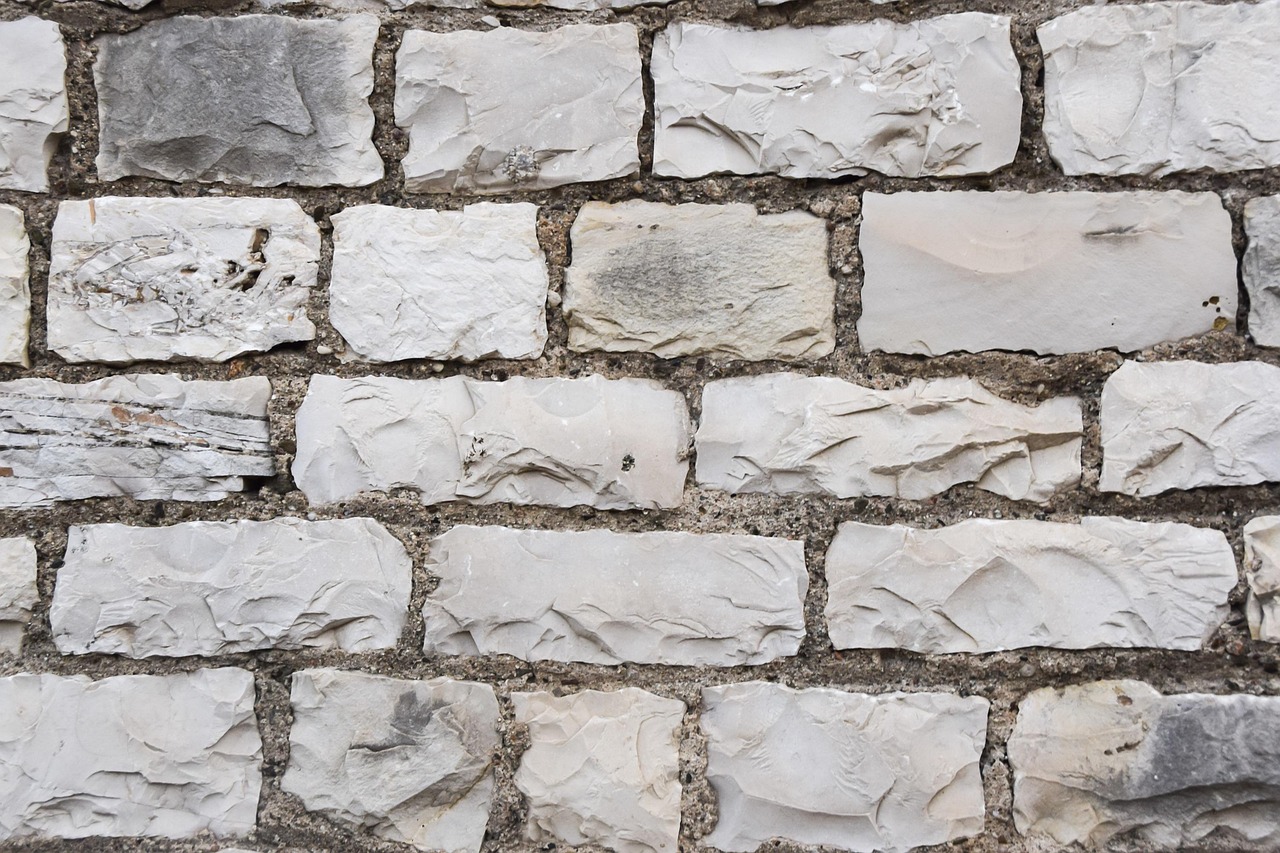Free Brick Wall photo and picture