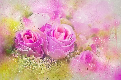 Free Flowers Rose illustration and picture