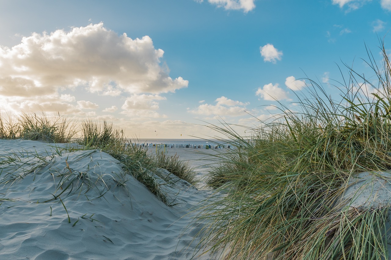 Ostfriesland Nature North Sea Free Photo On Pixabay Pixabay Ostfriesland Nature North Sea Free Photo On Pixabay Pixabay