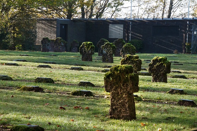 Free Soldiers Cemetery Dig photo and picture