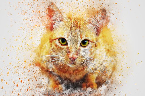 Free Cat Animal illustration and picture