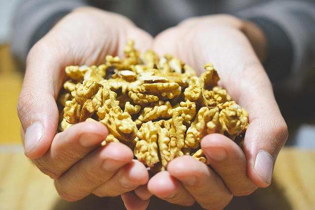 Free Nuts Hands photo and picture