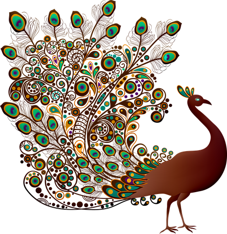 200+ Free Peacocks &amp; Bird Illustrations - Pixabay