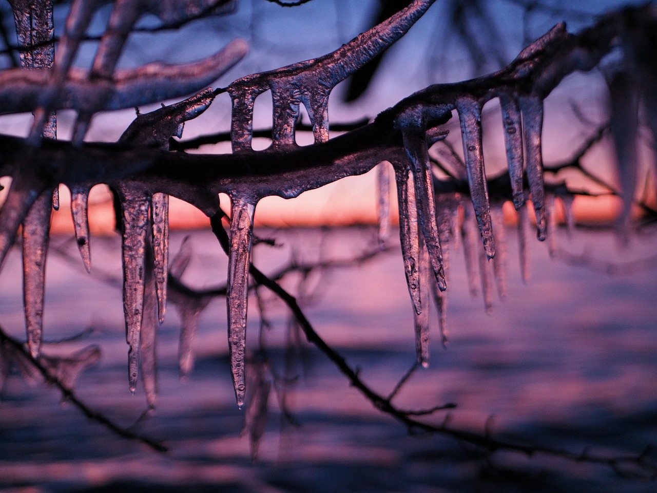 Icicles Winter Is Free photo on Pixabay Pixabay