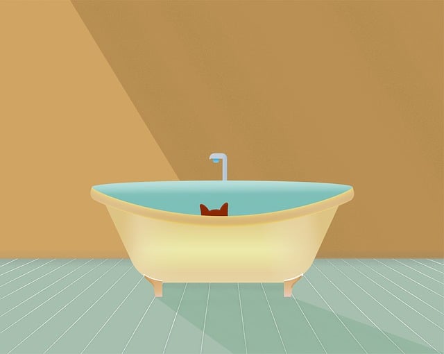 Free cat pet hide-and-seek illustration