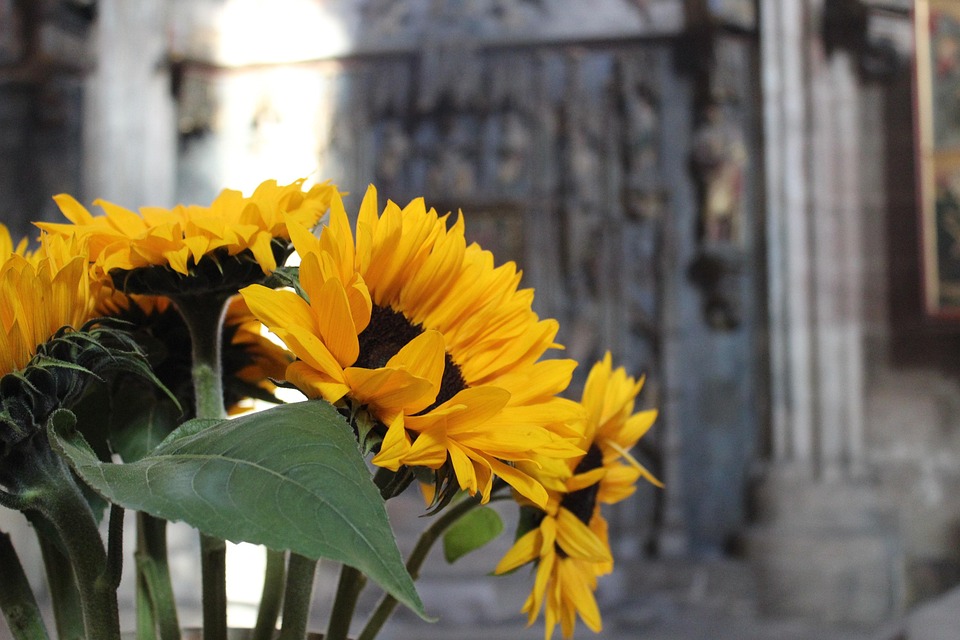 Sunflower, Bouquet, Yellow, Flowers, Vase, Decoration