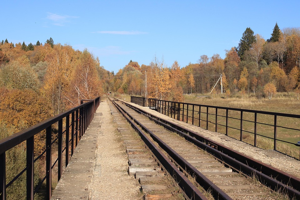 Autumn Rails Forest - Free photo on Pixabay - Pixabay