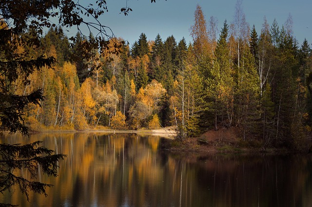 Free Autumn Pond photo and picture