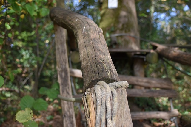 Free Branches Ramp photo and picture