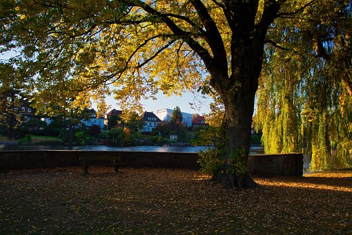 Delaware, Hamburg, Solnedgang, Vand