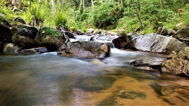 Río, Riera, Parque Natural, Gualba