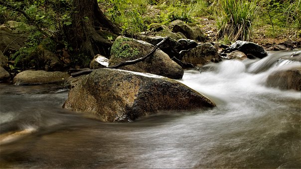 Río, Riera, Parque Natural, Gualba