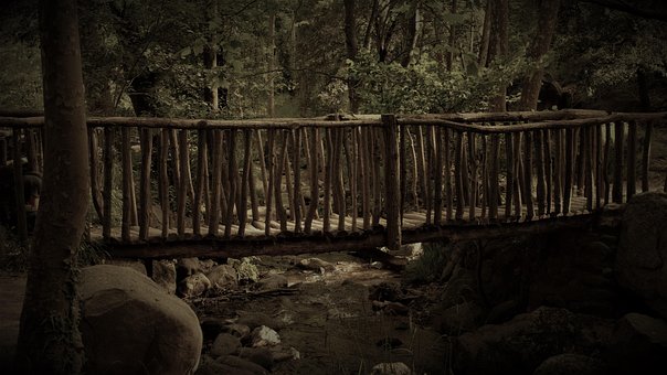 Río, Riera, Parque Natural, Gualba
