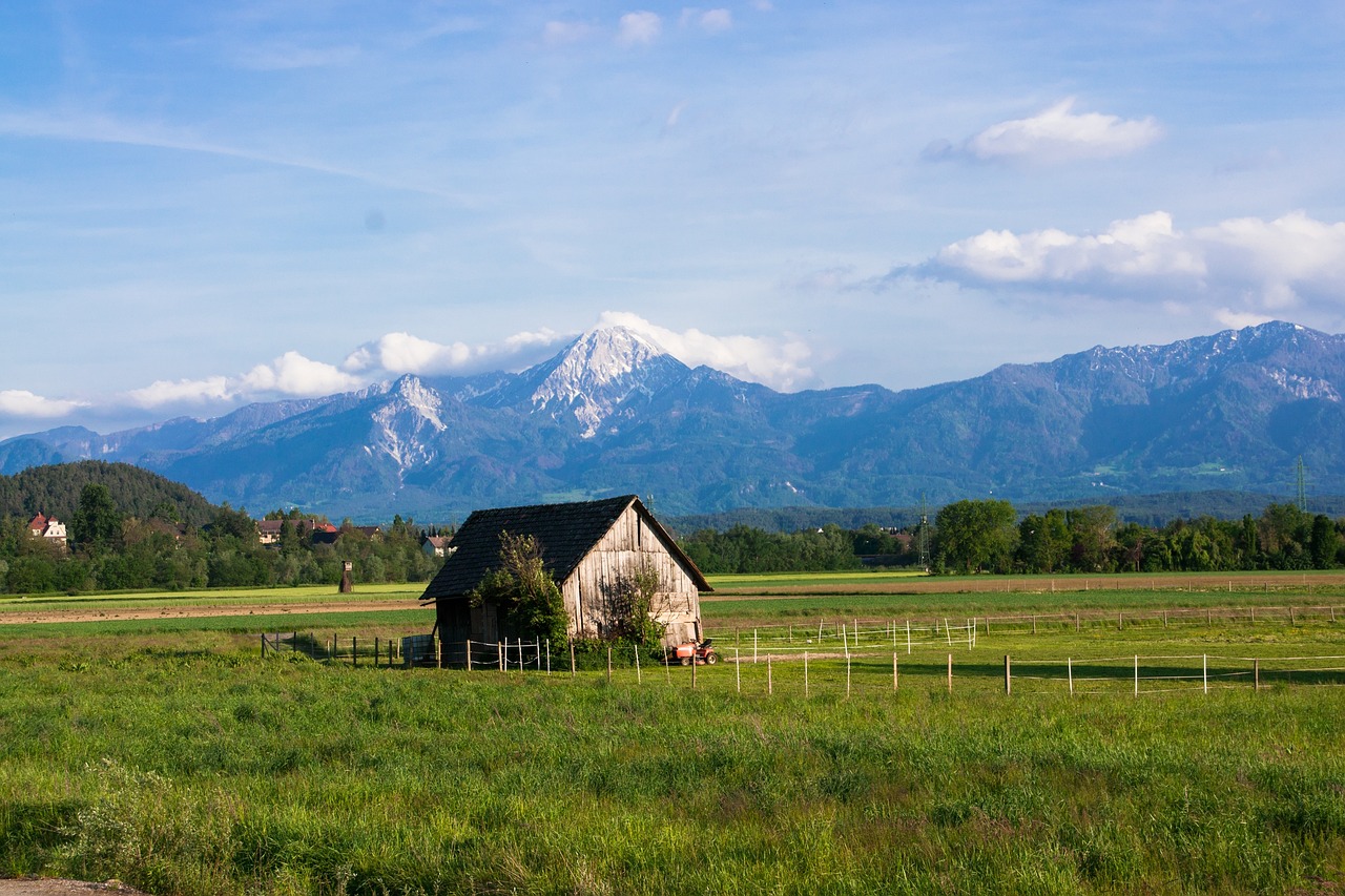 Austria - free online jigsaw puzzle photo