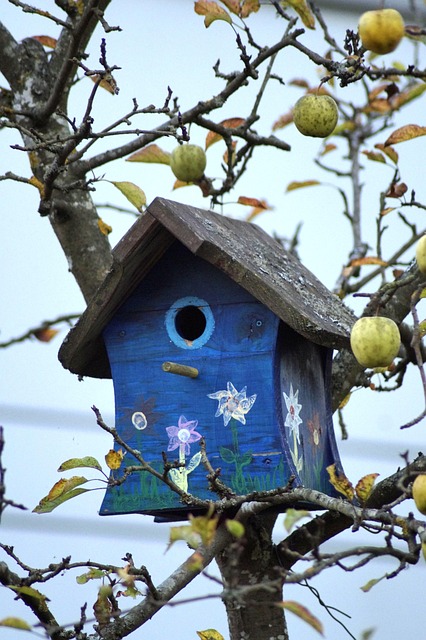 Free Bird Feeder Bird House photo and picture