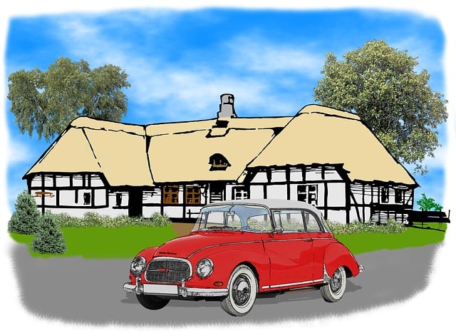Free dkw 1000s coupe illustration