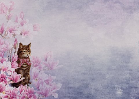 zadarmo čierne mokré mačička obrázky prvý análny a Creampie