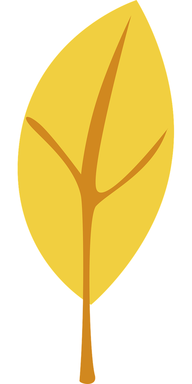 Grafisch, Natuur, Blad, Bladeren