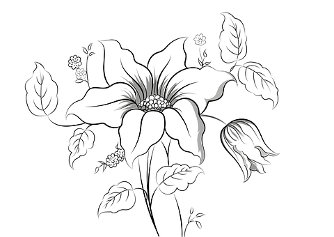 Free Flower Nature illustration and picture