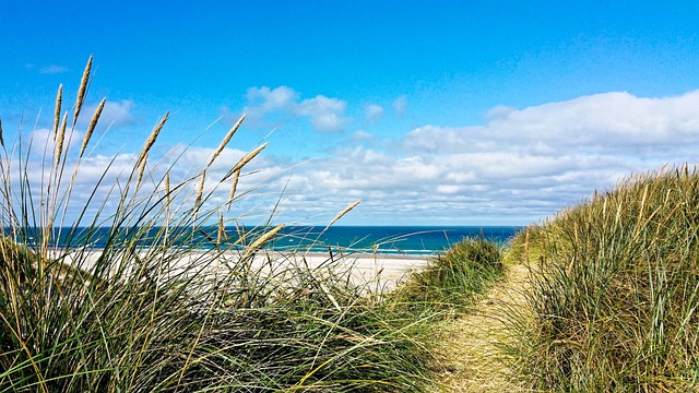 Free Denmark Vacations photo and picture