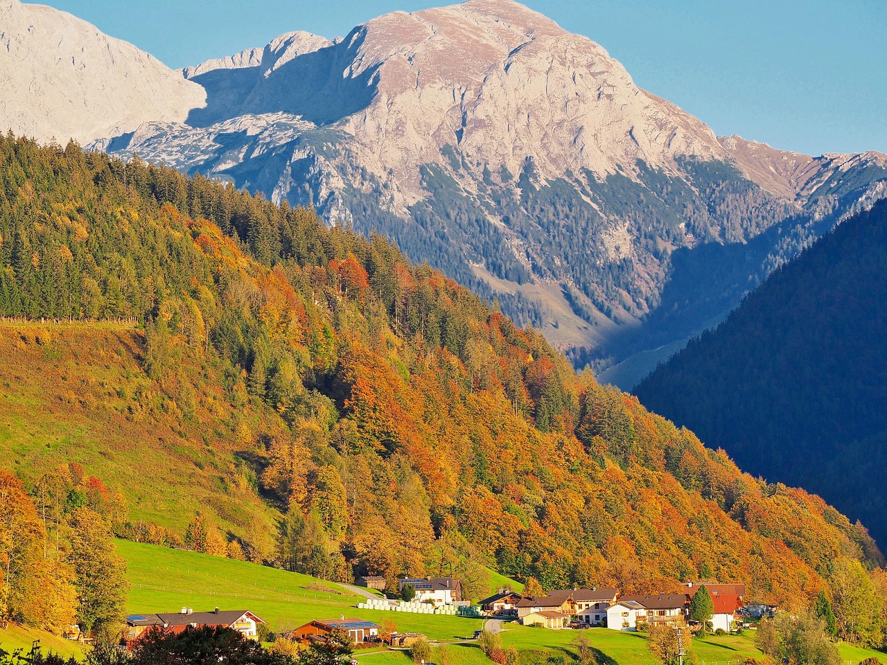 Nature - free online jigsaw puzzle photo