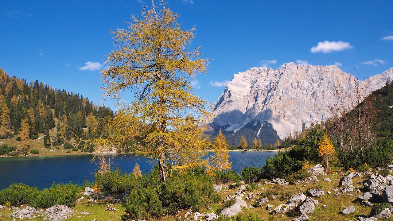 Nature - free online jigsaw puzzle photo