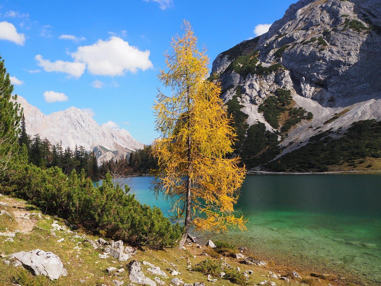 Nature - free online jigsaw puzzle photo