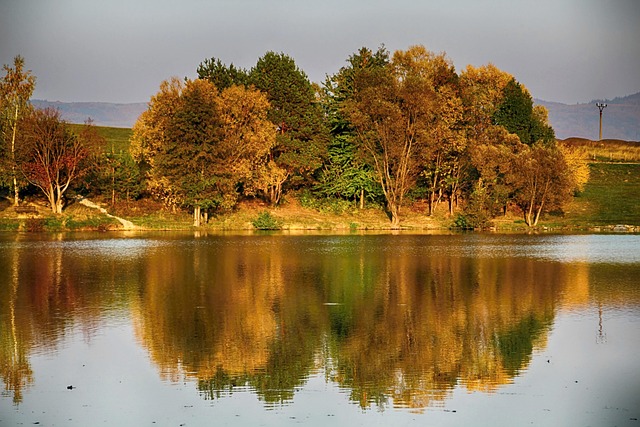 Free Dam Autumn photo and picture