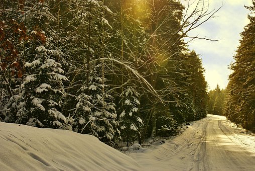 Wald, Weg, Winter, Januar, Schnee, Road