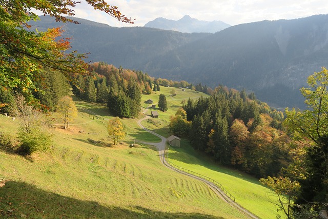 Free Fall Mountain Meadows photo and picture