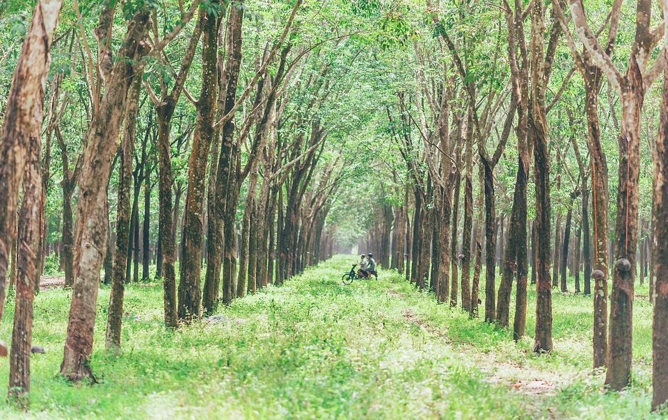 激情电影跳弹按摩棒