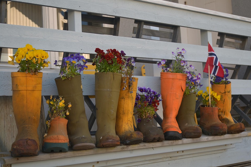 View of Norway Decoration Flowers - Free photo on Pixabay - Pixabay