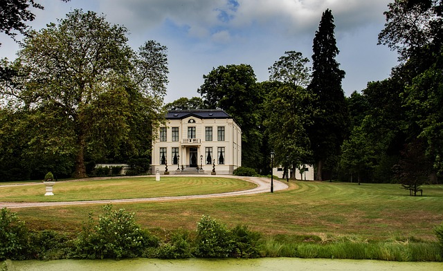 Hjem, Landskab, Grøn, Luft