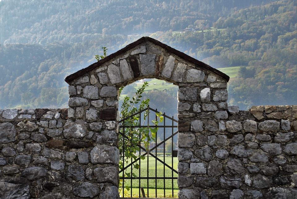 stone gate vineyard