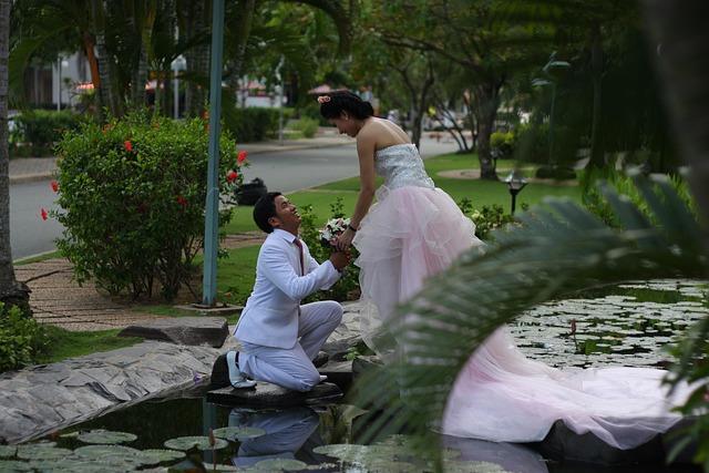 Free Bride Groom photo and picture