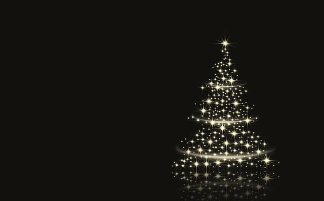 Free Christmas Tree Fir Tree illustration and picture