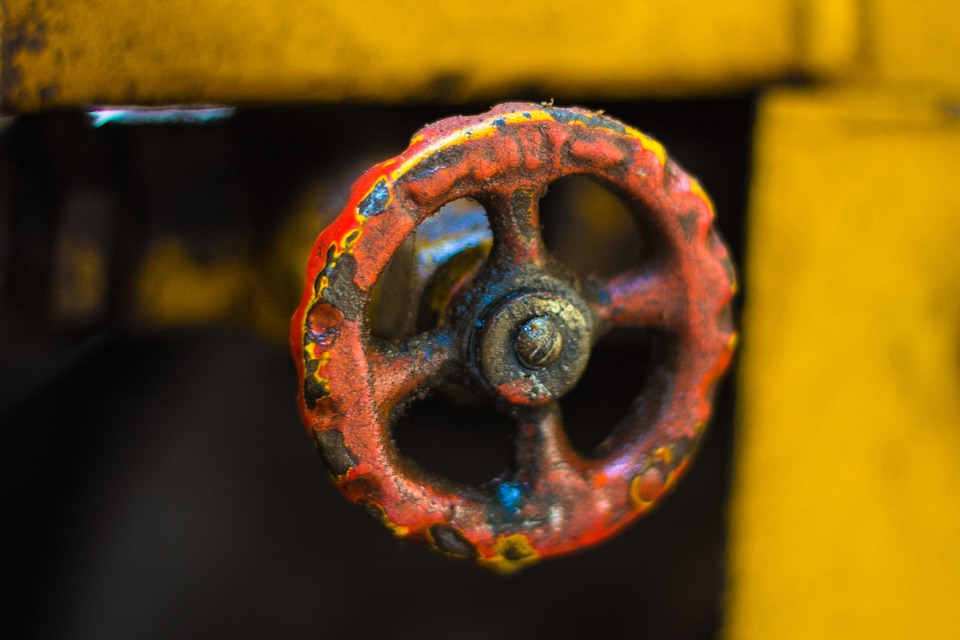 Botão Amarelo-Laranja - Foto gratuita no Pixabay - Pixabay