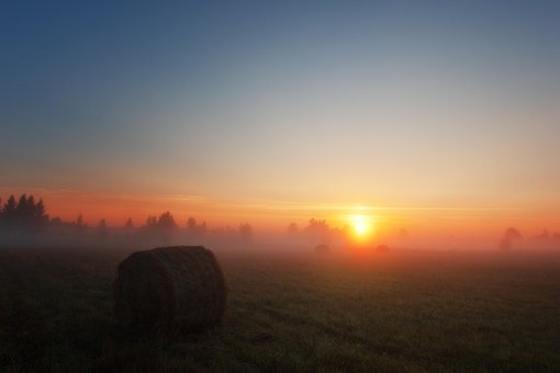 Free Morning Dawn photo and picture